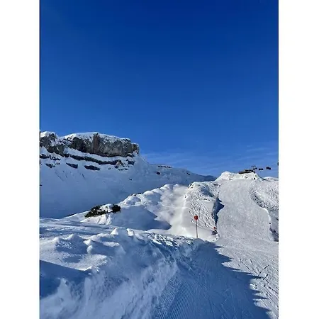 Holiday Apartment With 1 Bedroom Mittelberg